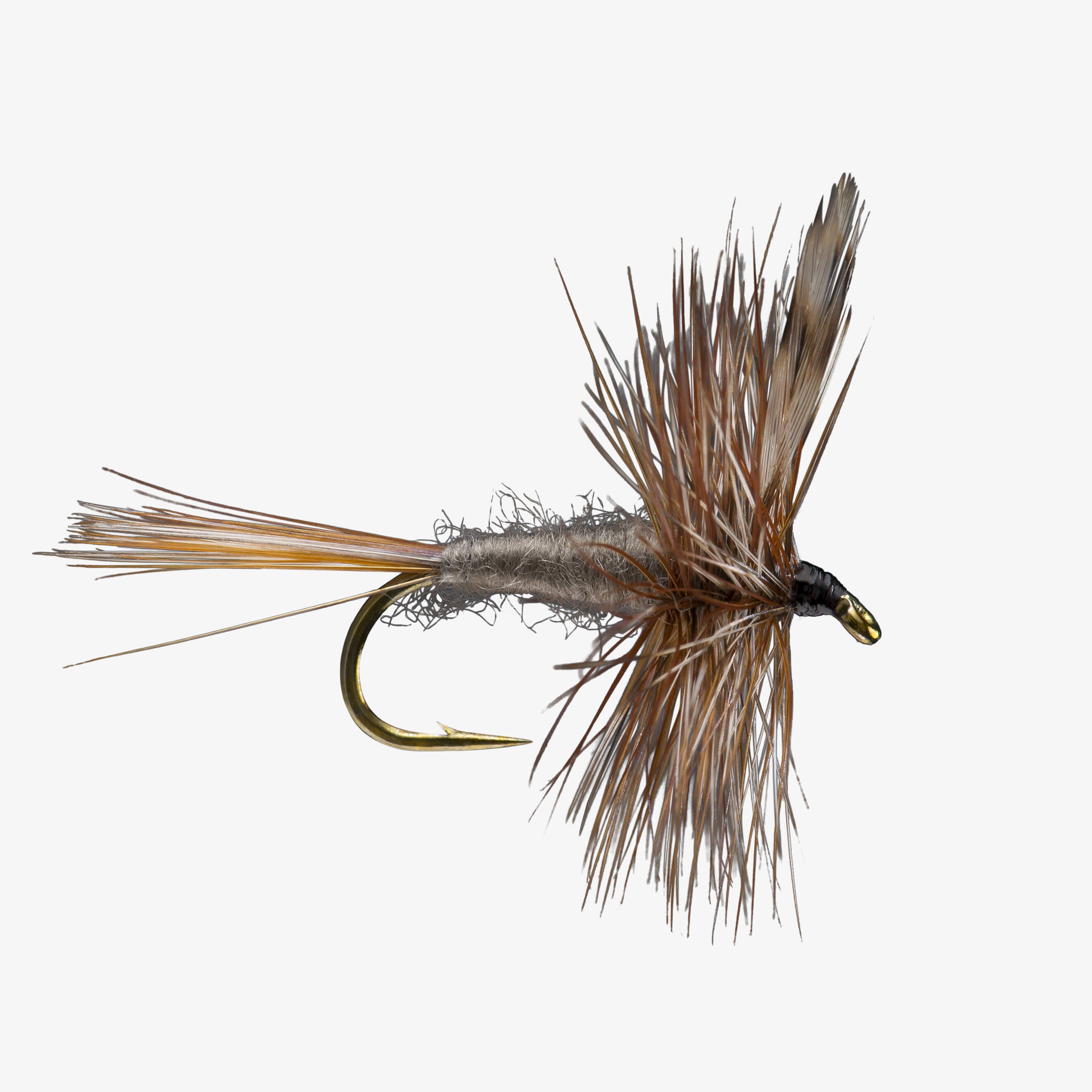 ambassador　L ITE　フリッピング Hooks | South Branch Outfitters